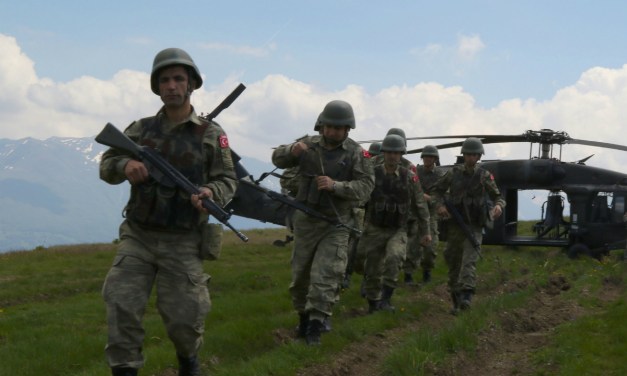 A Means of First Resort: Explaining “Hot Pursuit” in International Relations