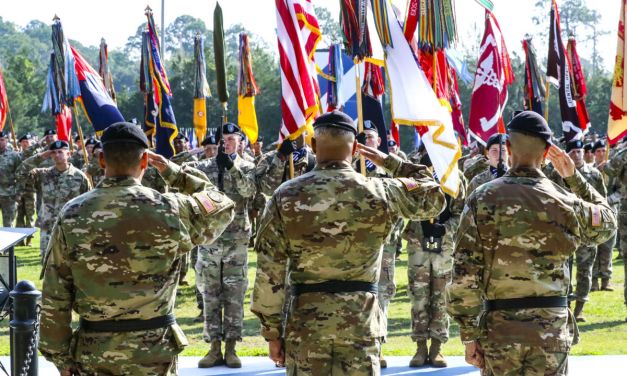 Elephants and Mosquitos: Why Leaders’ Character Really Matters