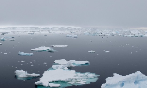 Project 6633 Interview Series: Key Challenges in the Arctic and Antarctic Regions