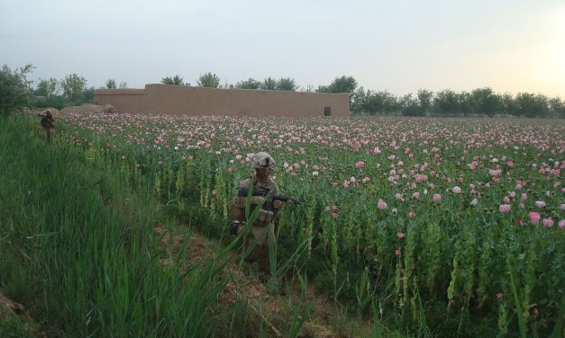 An Unforced Error: How US Attempts to Suppress the Opium Trade Strengthened the Taliban