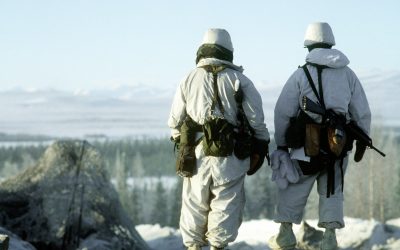 Bring Back the Sightseeing Sixth: The Case for an Arctic Division