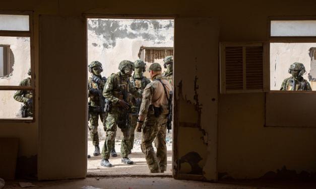 Learning the Wrong Lessons: The Blind Spots in the US Approach to Foreign Military Training