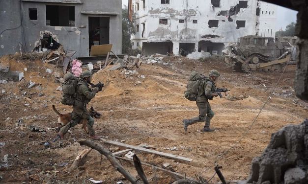 The Dogs of (Urban) War: Lessons from Oketz, the Israel Defense Forces’ Specialized Canine Unit