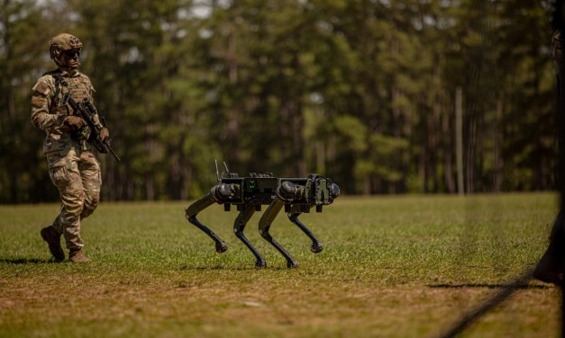 Fighting with Robots: The Time to Prepare is Now