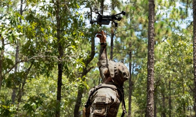 Want Drone Dominance? Let the Squad Fail